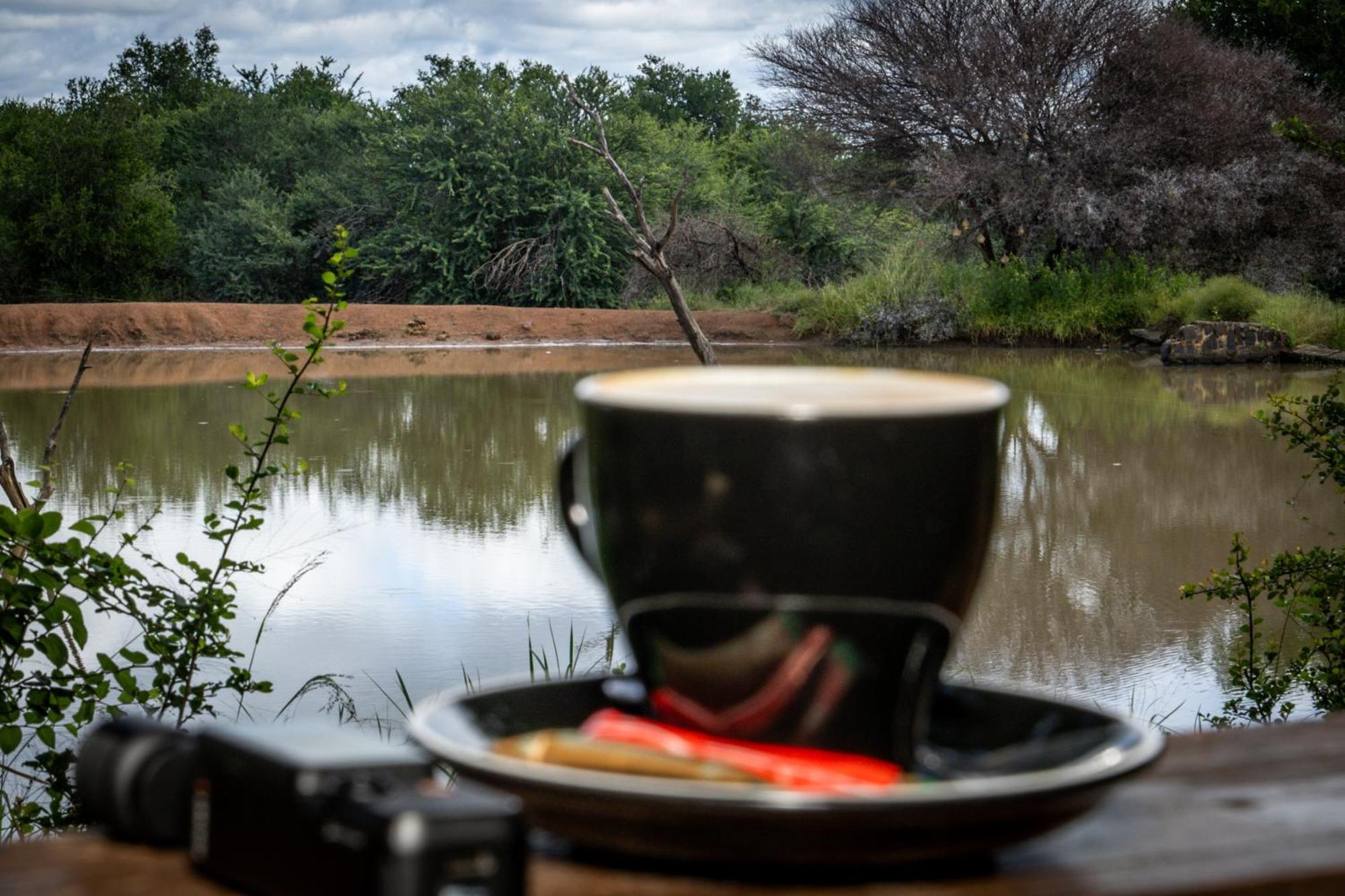 Black Rhino Game Pilanesberg